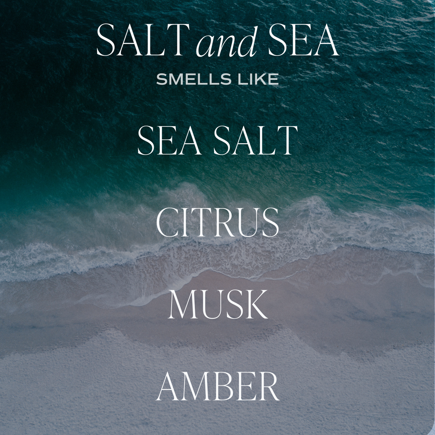 Salt and Sea Reed Diffuser - Home Decor & Gifts