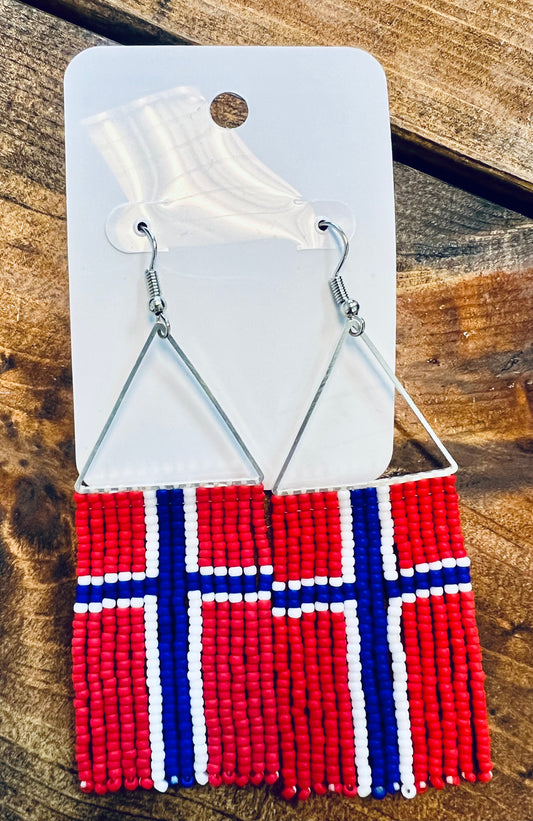 Norwegian Flag Earrings