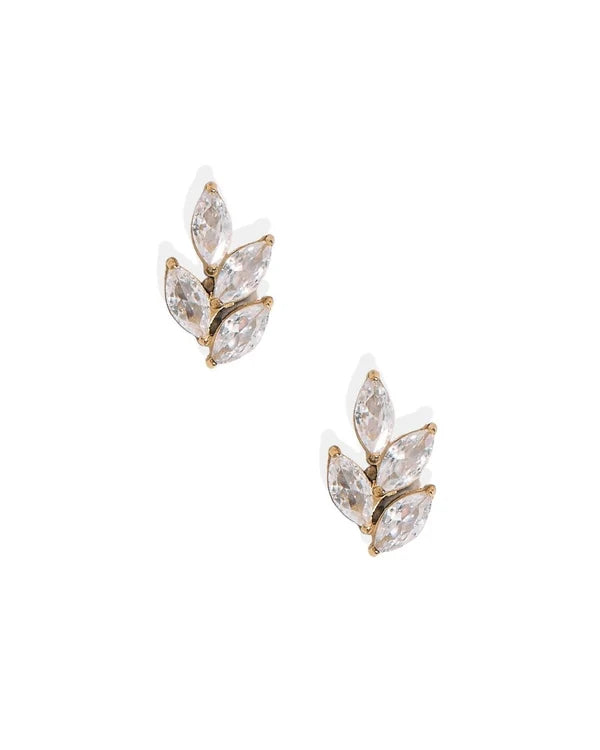 Laurel Gold Screwback Stud Earrings