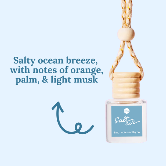 Car Diffusers- Salt Air