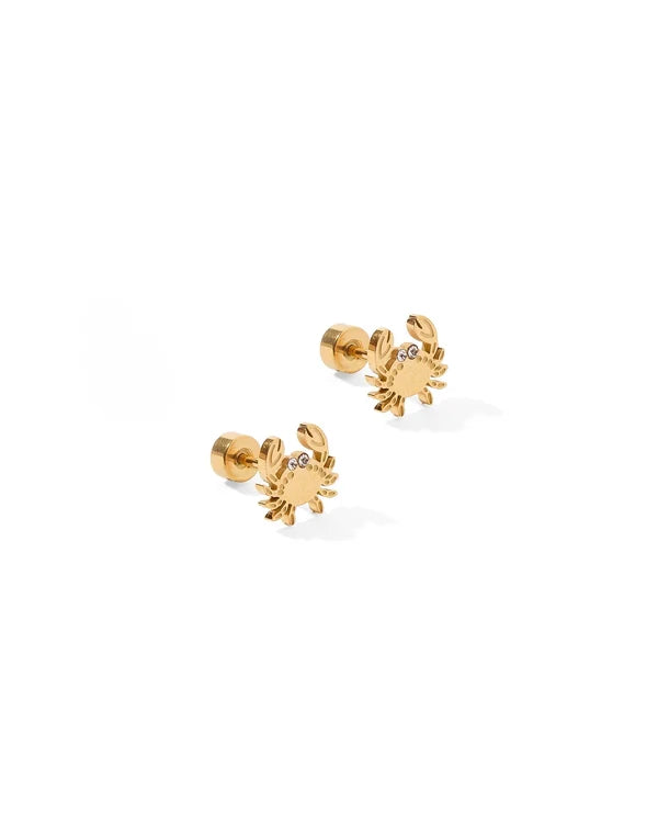 Crab Screw Back Stud Earrings